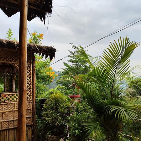 Nature Villa Risikés Kültér fotó