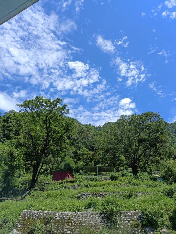 Nature Villa Risikés Kültér fotó