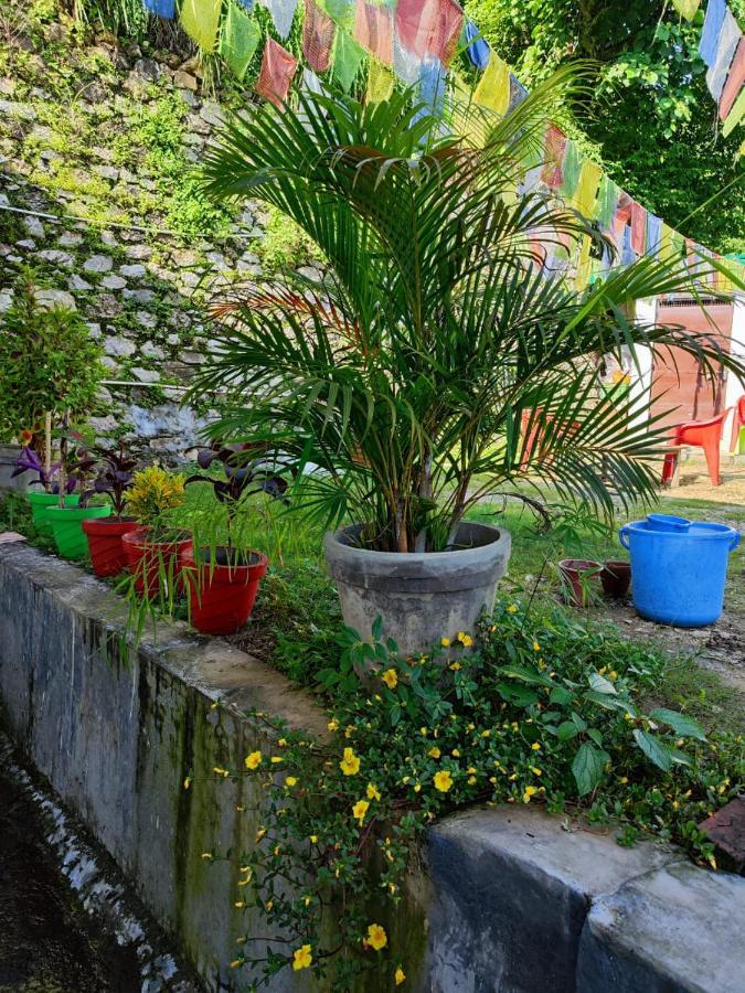 Nature Villa Risikés Kültér fotó