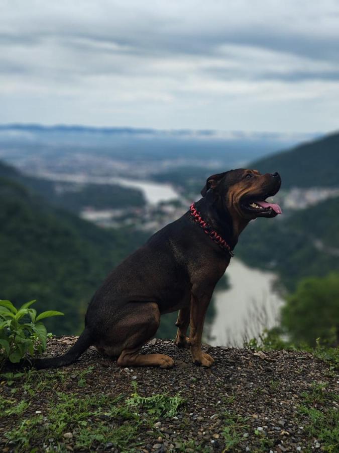Nature Villa Risikés Kültér fotó