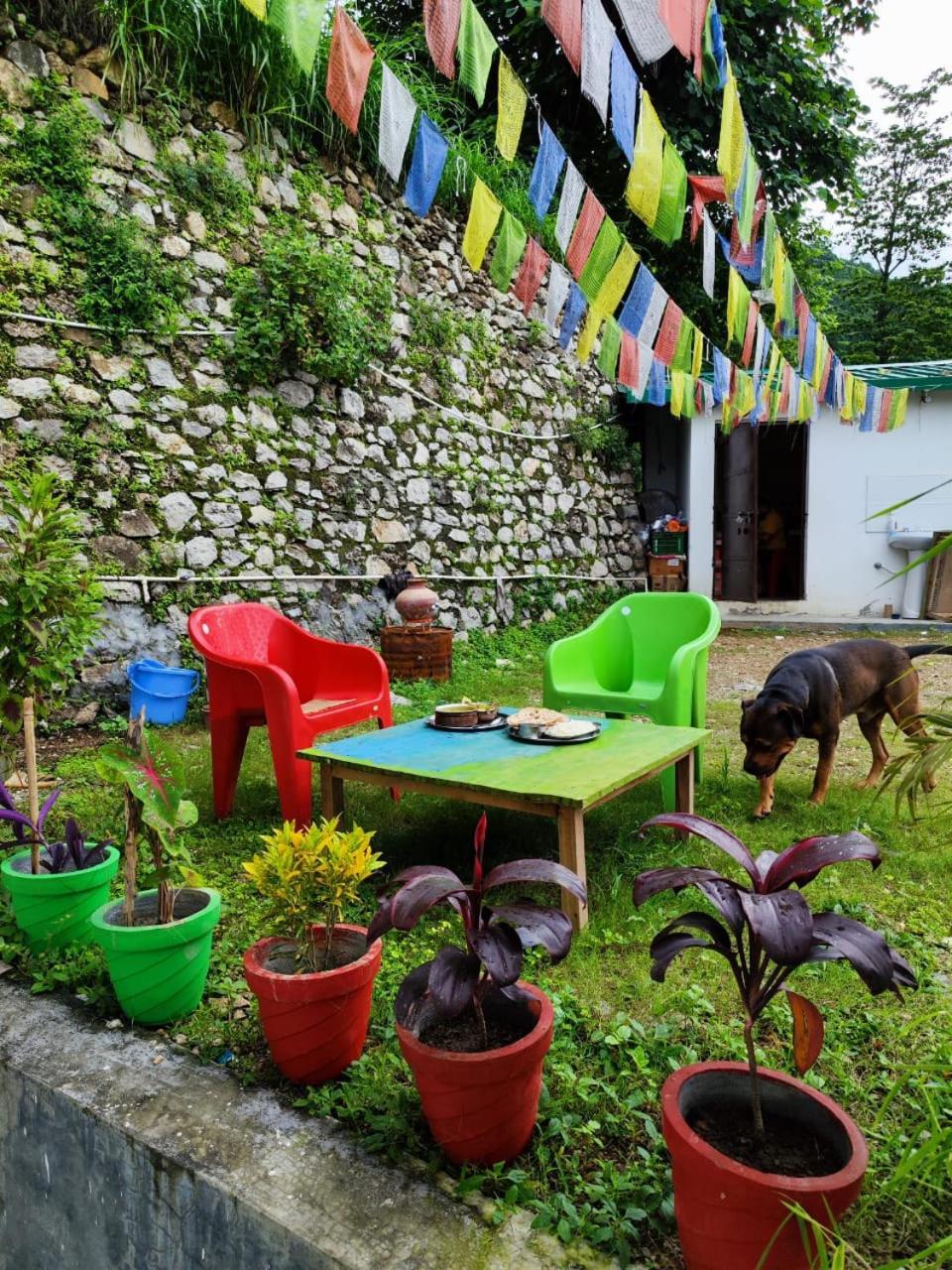 Nature Villa Risikés Kültér fotó