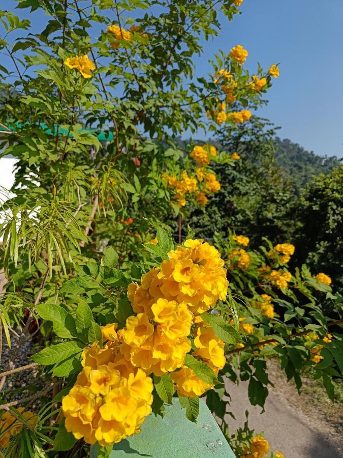 Nature Villa Risikés Kültér fotó
