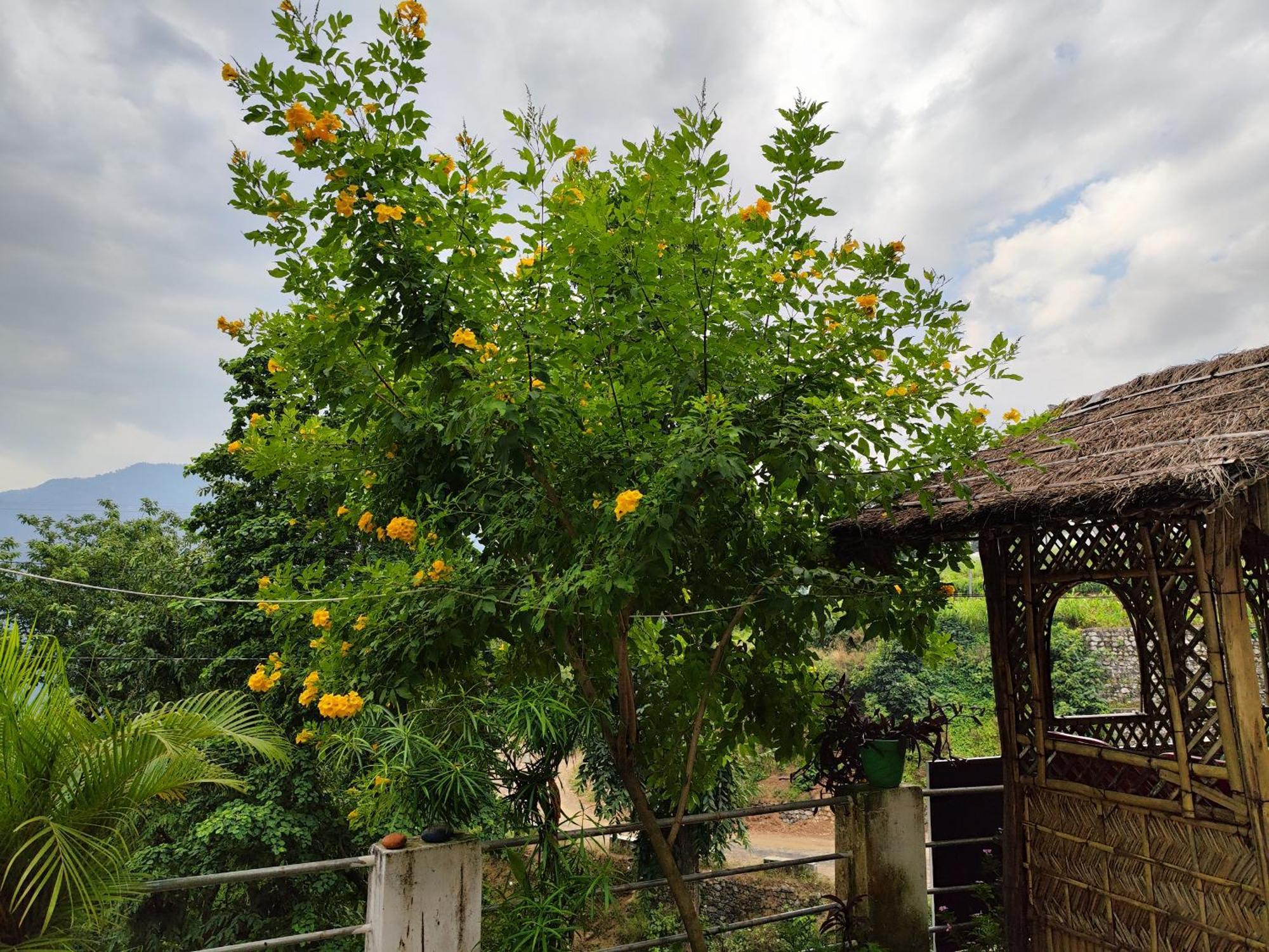 Nature Villa Risikés Kültér fotó